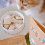 Freeze Dried Free Range Chicken Breast