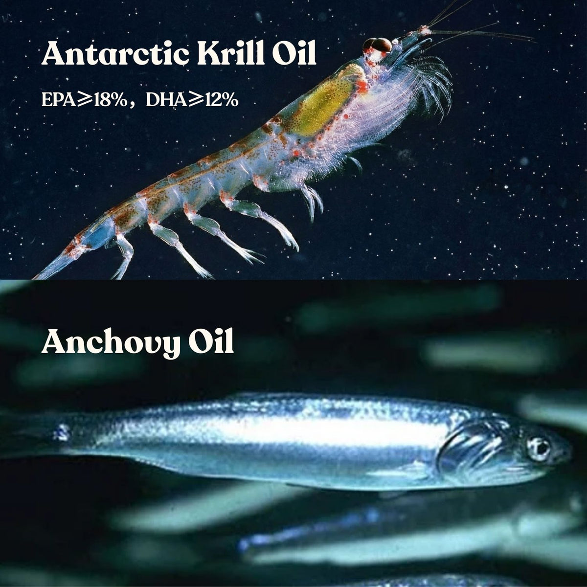 No Fridge. No Mess. — Fureeze® Daily Fish & Krill Oil Supplement