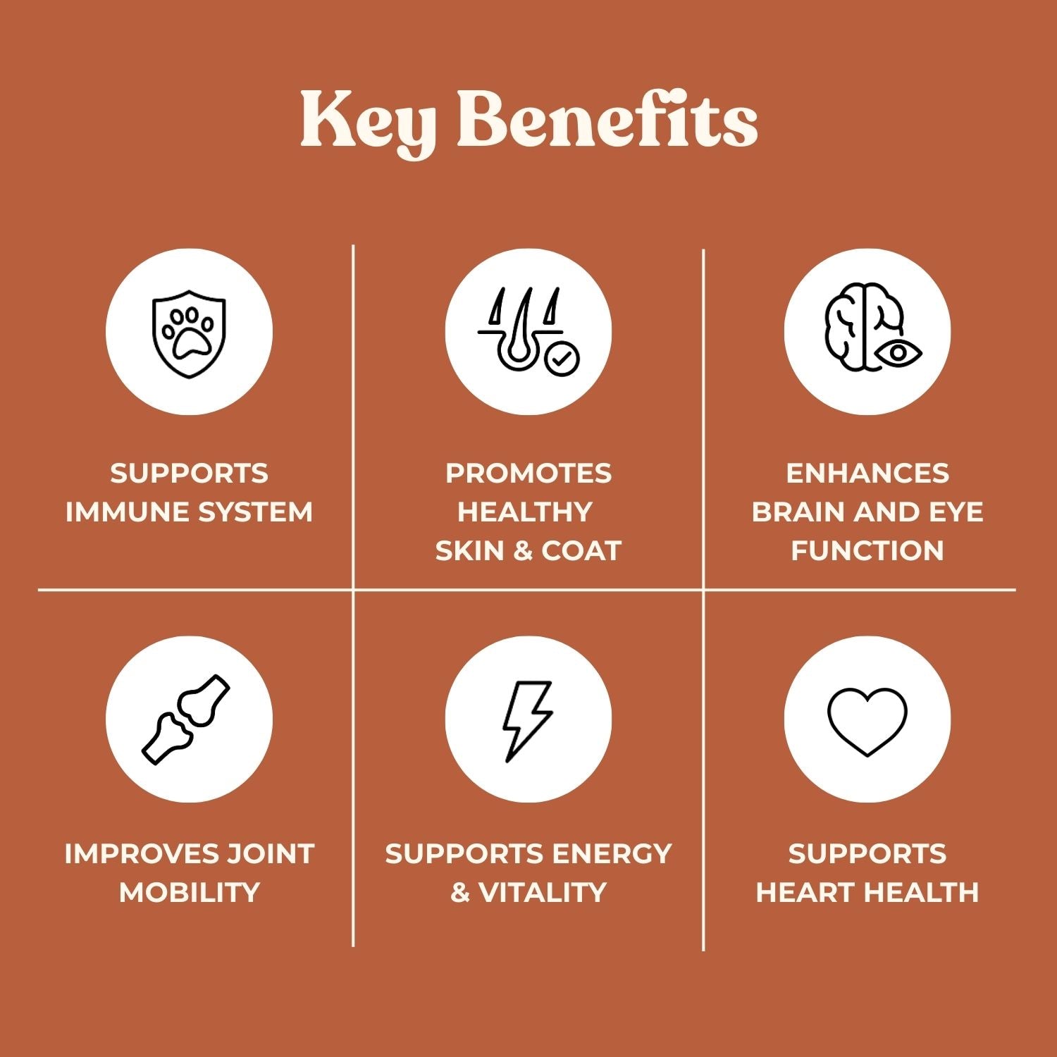 No Fridge. No Mess. — Fureeze® Daily Fish & Krill Oil Supplement