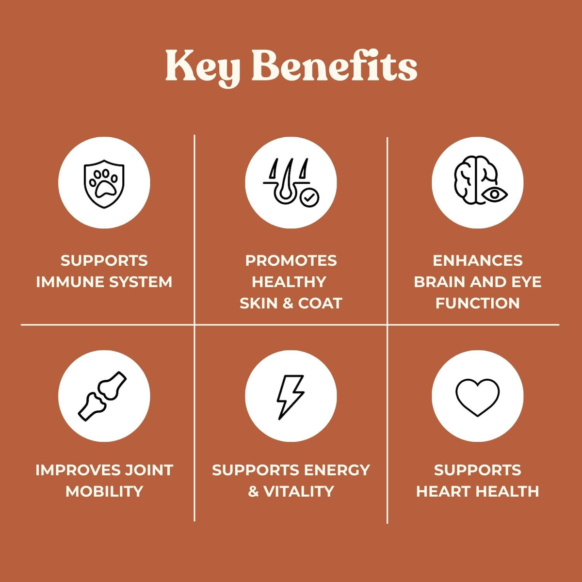 No Fridge. No Mess. — Fureeze® Daily Fish & Krill Oil Supplement