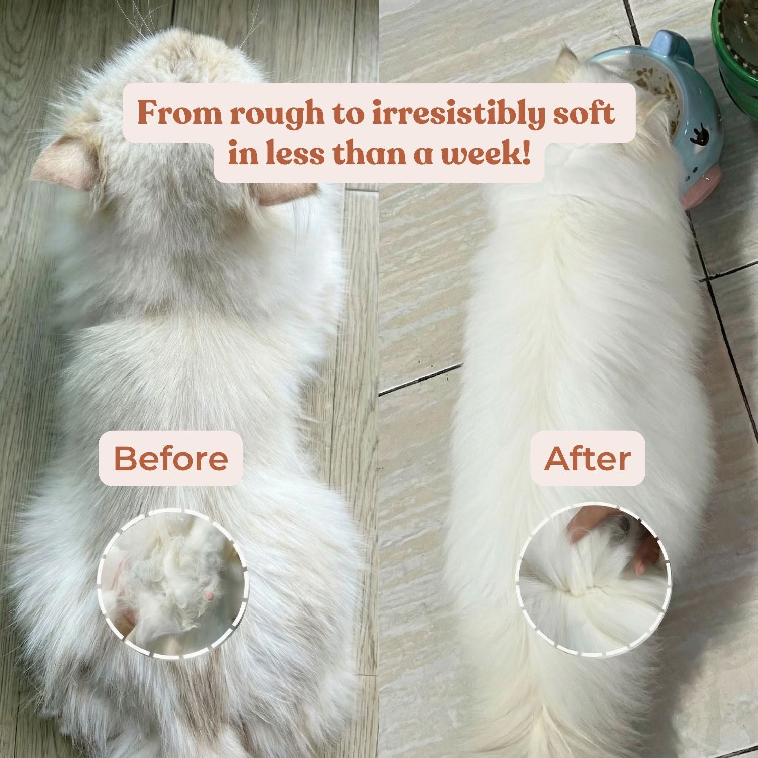 No Fridge. No Mess. — Fureeze® Daily Fish & Krill Oil Supplement