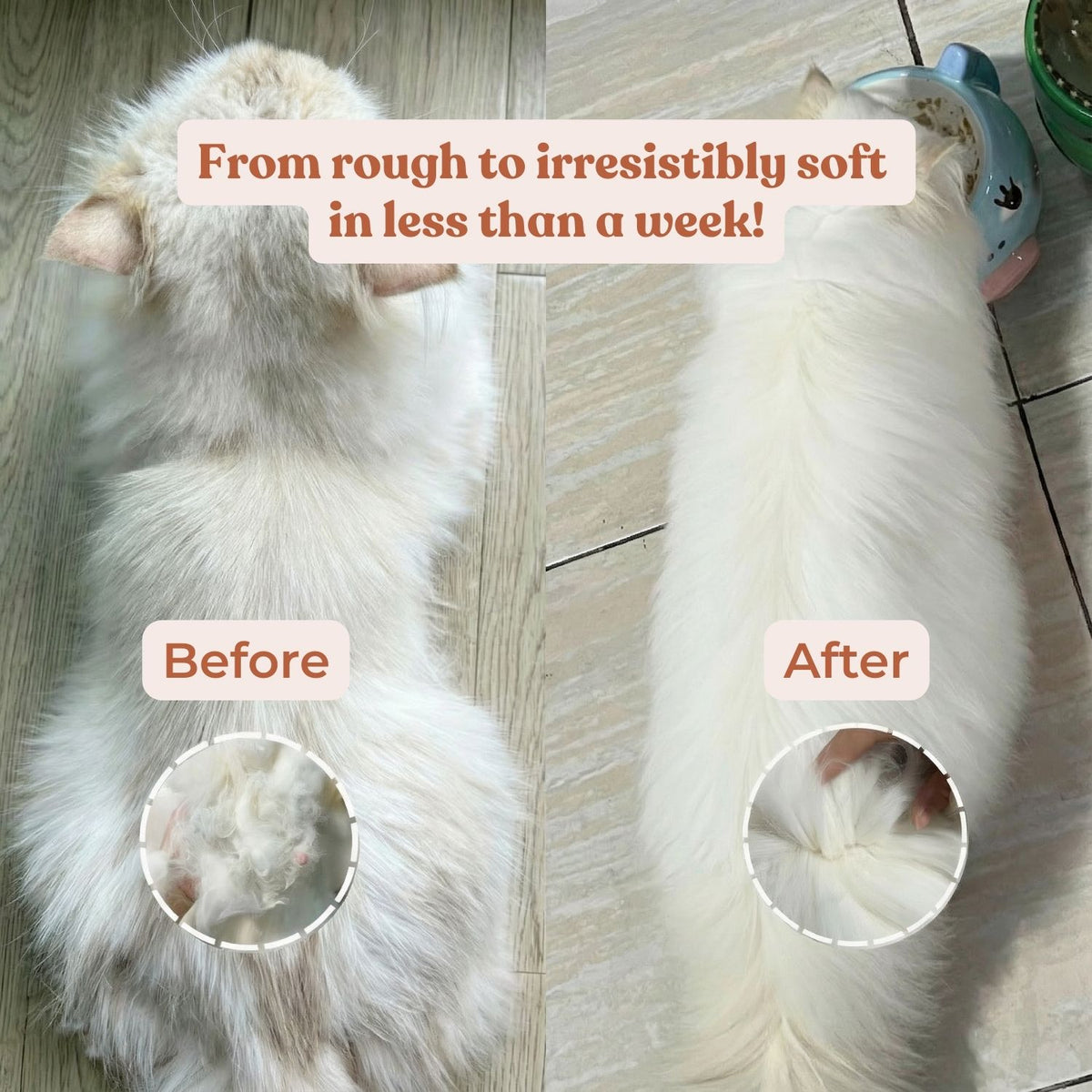 No Fridge. No Mess. — Fureeze® Daily Fish & Krill Oil Supplement